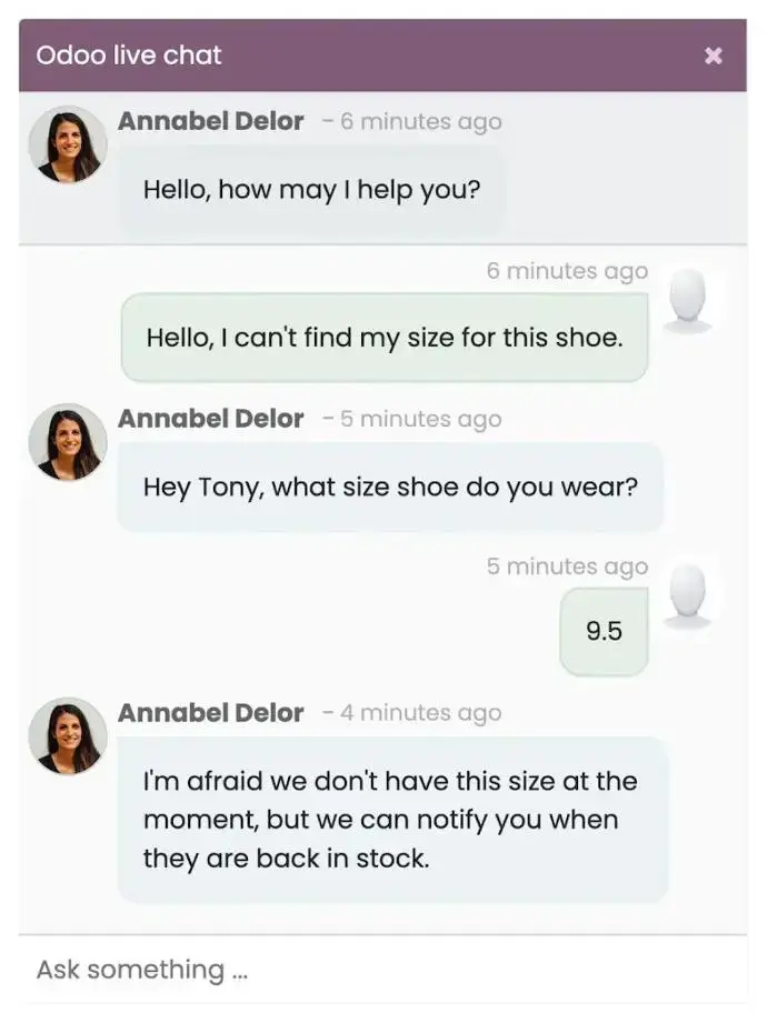 Odoo live chat feature integrated into eCommerce website for real-time customer support