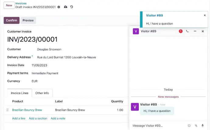 Customer chatting with support agent via Odoo Live Chat on eCommerce website
